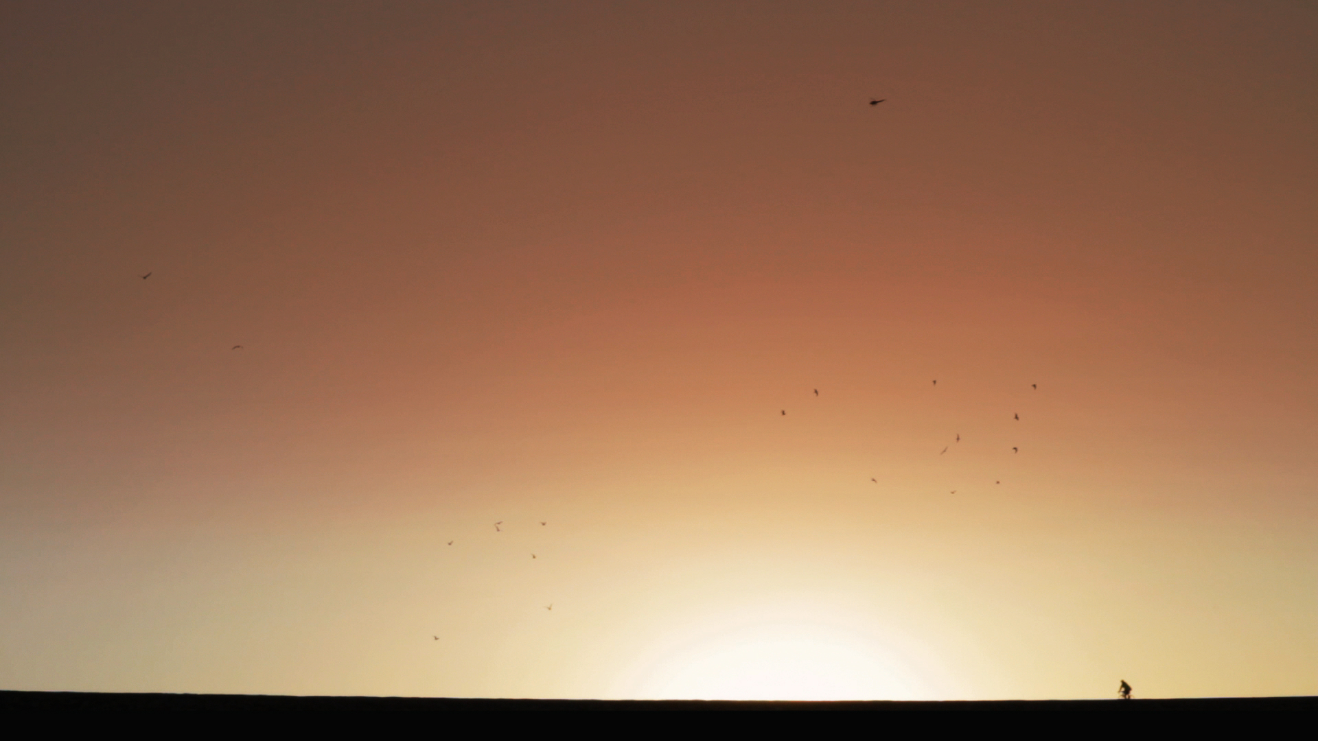 Sunset-bicyclist